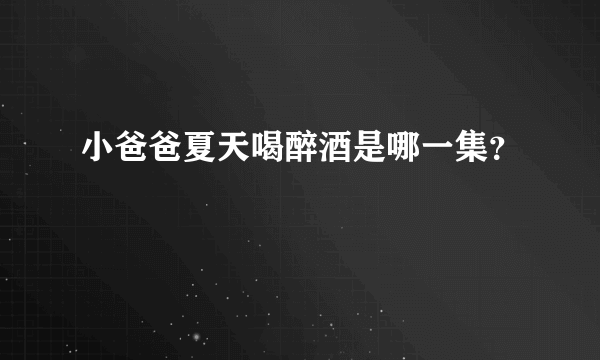 小爸爸夏天喝醉酒是哪一集？