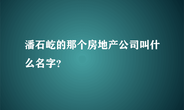 潘石屹的那个房地产公司叫什么名字？