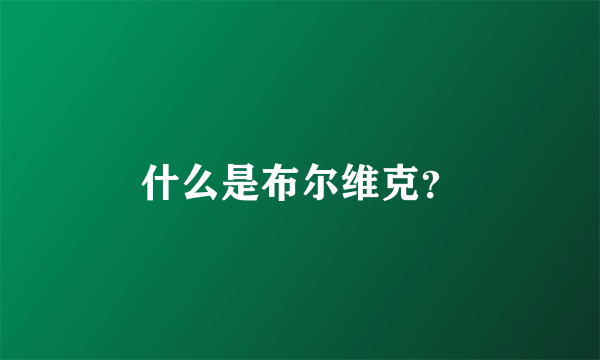 什么是布尔维克？