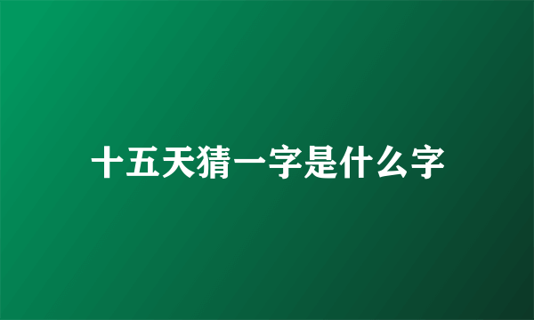 十五天猜一字是什么字