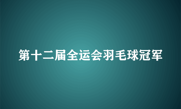 第十二届全运会羽毛球冠军