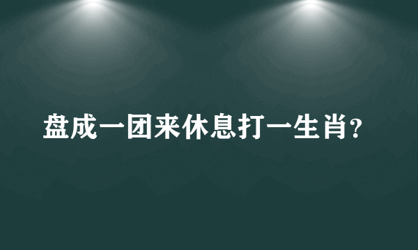 盘成一团来休息打一生肖？