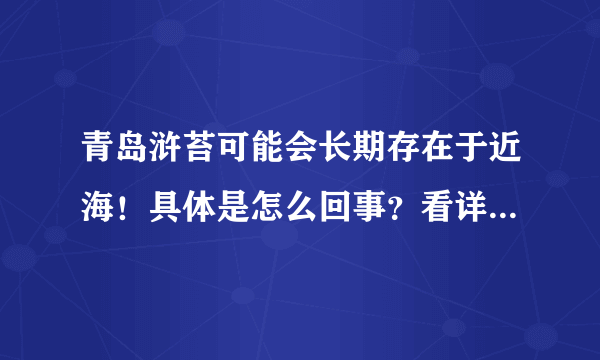 青岛浒苔可能会长期存在于近海！具体是怎么回事？看详细原因！