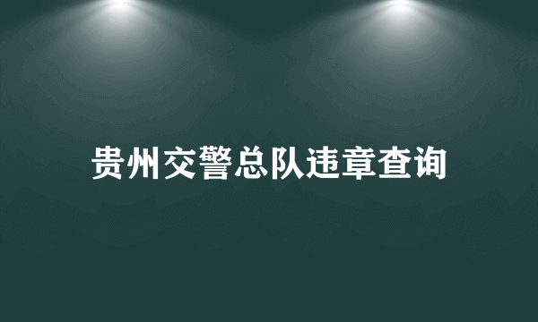 贵州交警总队违章查询