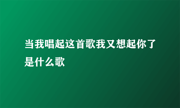 当我唱起这首歌我又想起你了是什么歌
