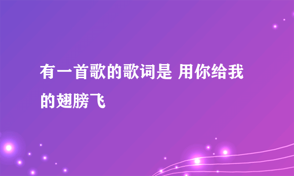 有一首歌的歌词是 用你给我的翅膀飞