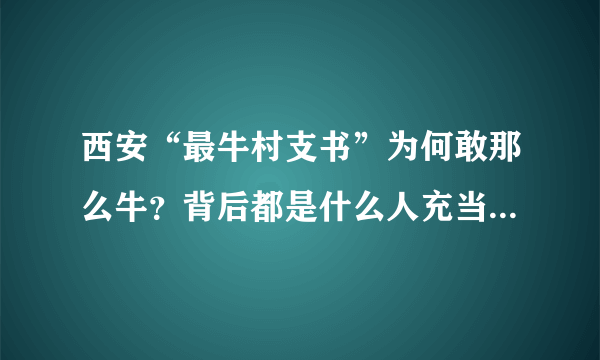 西安“最牛村支书”为何敢那么牛？背后都是什么人充当了保护伞？