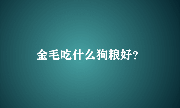 金毛吃什么狗粮好？