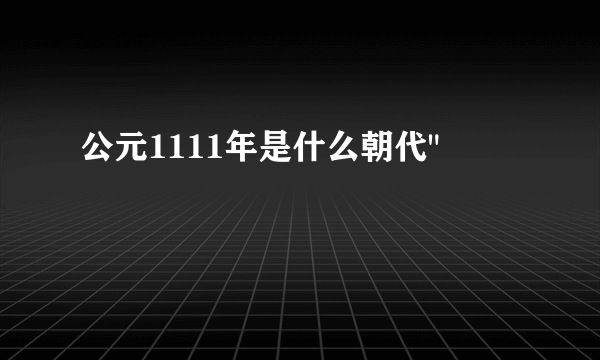 公元1111年是什么朝代