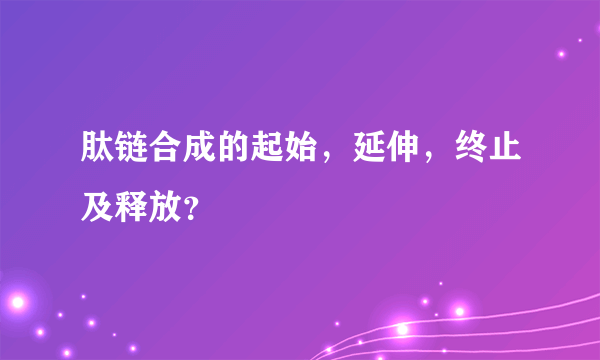肽链合成的起始，延伸，终止及释放？