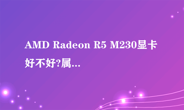 AMD Radeon R5 M230显卡好不好?属于什么级别的
