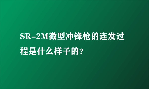 SR-2M微型冲锋枪的连发过程是什么样子的？