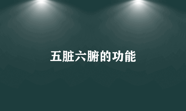 五脏六腑的功能