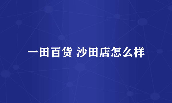 一田百货 沙田店怎么样