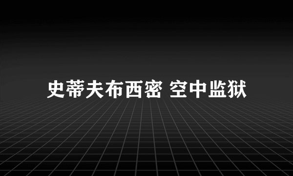史蒂夫布西密 空中监狱