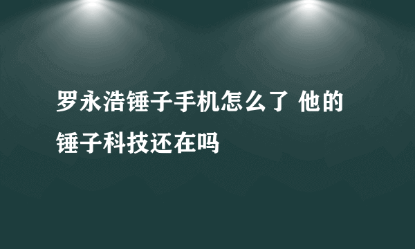 罗永浩锤子手机怎么了 他的锤子科技还在吗