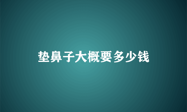 垫鼻子大概要多少钱