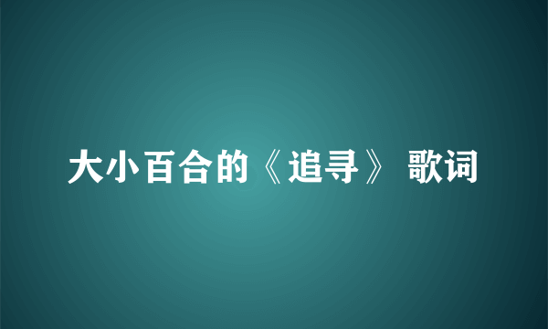 大小百合的《追寻》 歌词