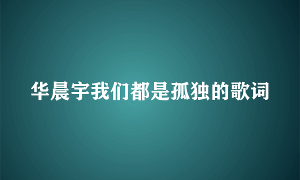 华晨宇我们都是孤独的歌词