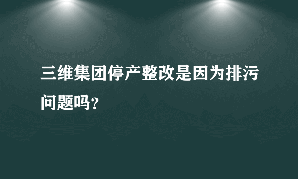 三维集团停产整改是因为排污问题吗？