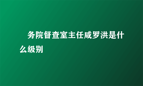 囯务院督查室主任咸罗洪是什么级别