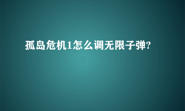 孤岛危机1怎么调无限子弹?