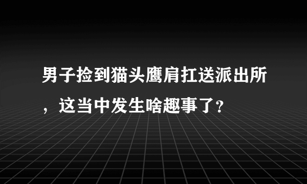 男子捡到猫头鹰肩扛送派出所，这当中发生啥趣事了？