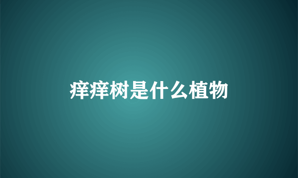 痒痒树是什么植物