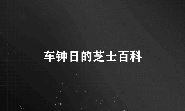 车钟日的芝士百科