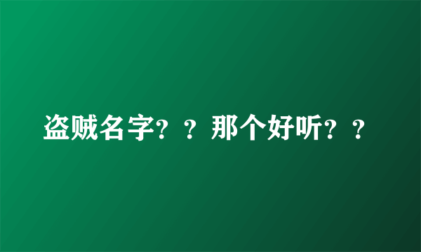 盗贼名字？？那个好听？？