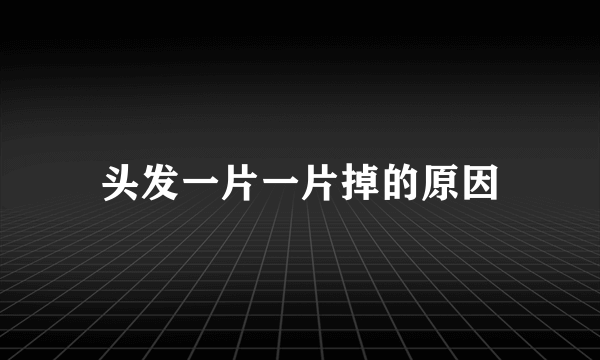 头发一片一片掉的原因