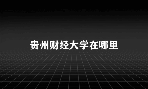 贵州财经大学在哪里