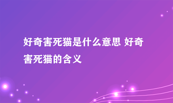 好奇害死猫是什么意思 好奇害死猫的含义