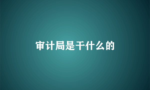 审计局是干什么的