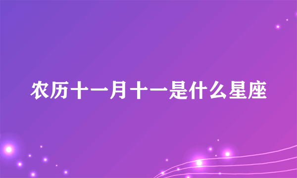 农历十一月十一是什么星座