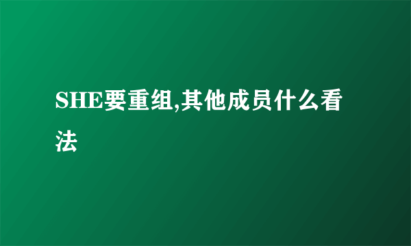 SHE要重组,其他成员什么看法