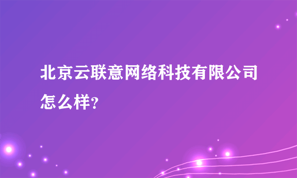 北京云联意网络科技有限公司怎么样？