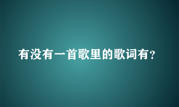 有没有一首歌里的歌词有？