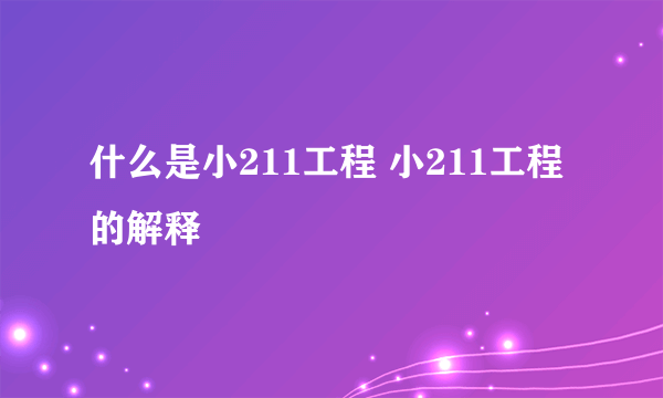 什么是小211工程 小211工程的解释