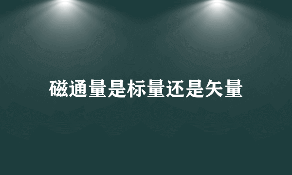 磁通量是标量还是矢量