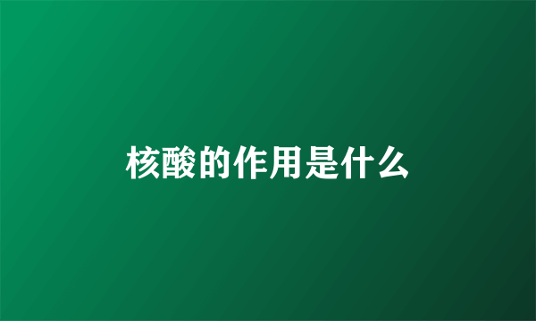 核酸的作用是什么