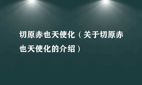 切原赤也天使化（关于切原赤也天使化的介绍）
