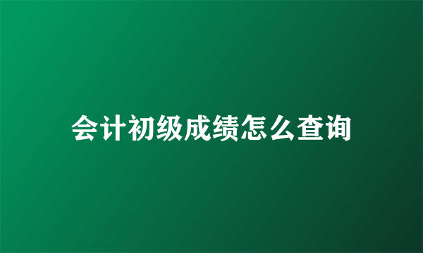 会计初级成绩怎么查询