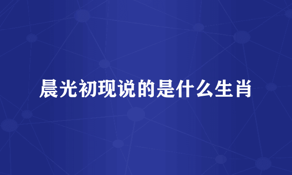 晨光初现说的是什么生肖