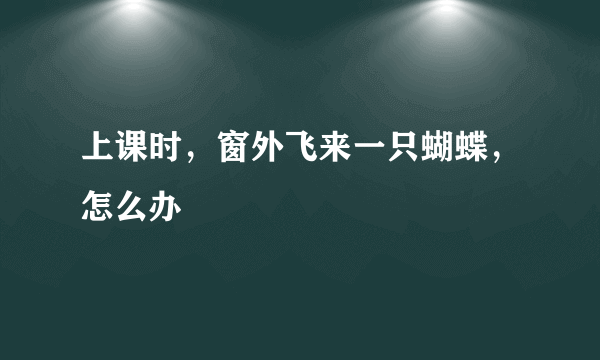 上课时，窗外飞来一只蝴蝶，怎么办
