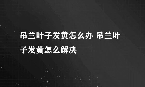 吊兰叶子发黄怎么办 吊兰叶子发黄怎么解决