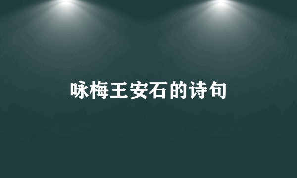 咏梅王安石的诗句