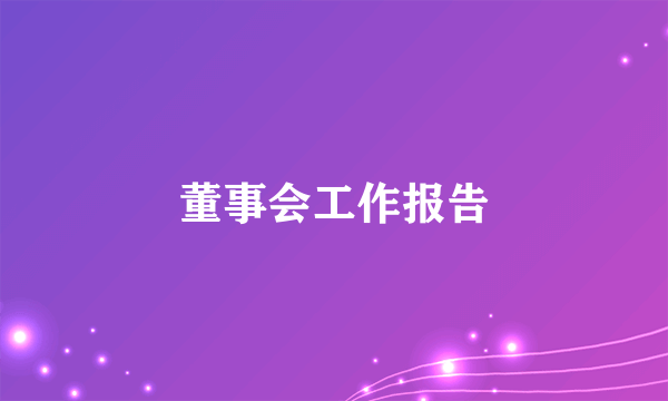 董事会工作报告