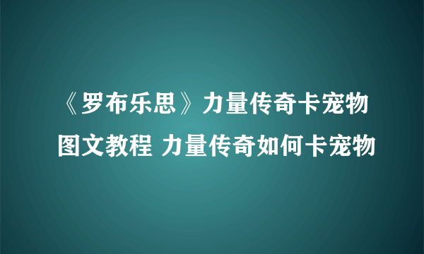 《罗布乐思》力量传奇卡宠物图文教程 力量传奇如何卡宠物