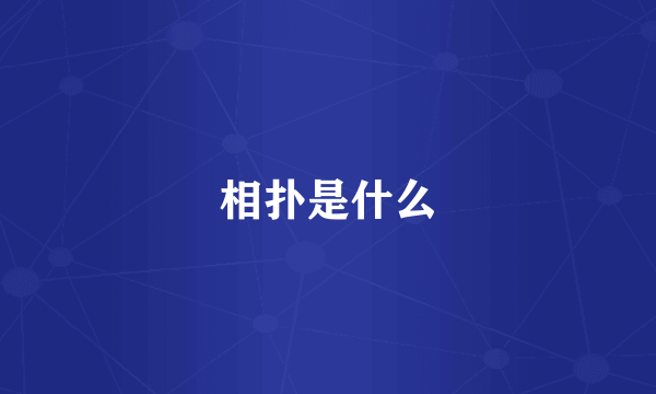 相扑是什么
